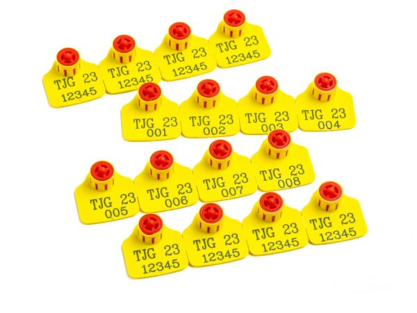 printed female tags