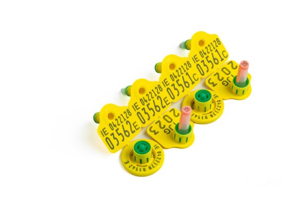 DNA sampling tag sets with print