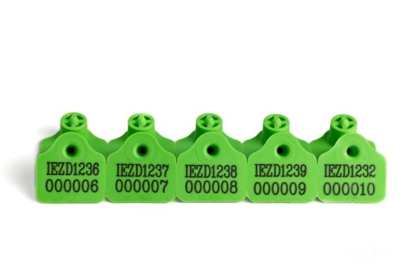 breeding pig tags