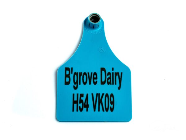 Coloured tags Management tags printed tags tags with text