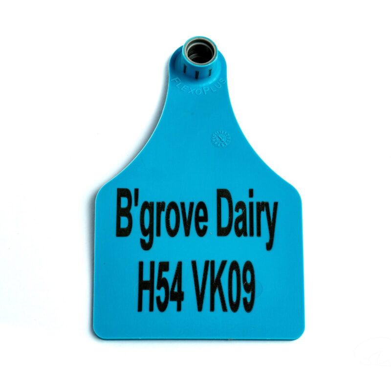 Coloured tags Management tags printed tags tags with text