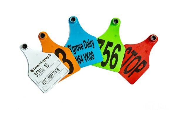 coloured tags management tags printed tags tags with text